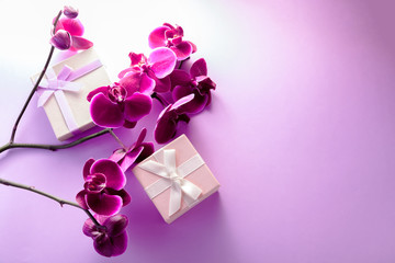 Gift boxes with orchid on purple background