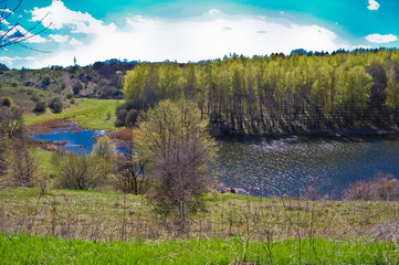 The midday spring sun illuminates the wood on a hill slope near the lake