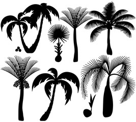 Naklejka premium Palm trees silhouette