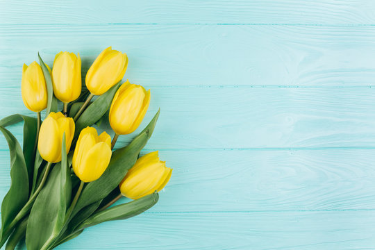 Yellow tulips on a blue wooden background, copy space and flat lay. Mother's Day concept.