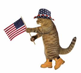 The cat patriot in a hat holds the American flag. White background.