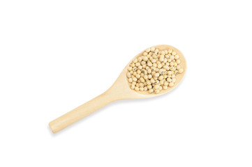 Organic soybean seed on wooden spoon isolated on white background,top view