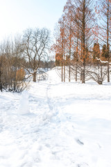 The snowman indicates the path along the trail in a snow-covered forest.