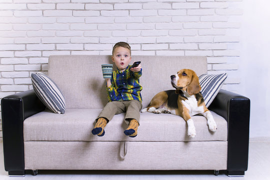 Funny Boy With Remote Control Watching TV Together With A Dog On The Couch