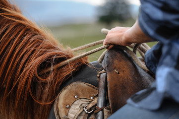 young girl on horse
