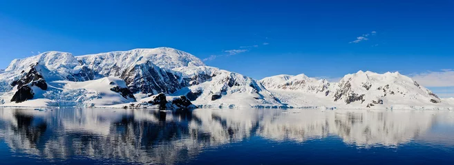 Rolgordijnen Antarctisch zeegezicht met reflectie © Alexey Seafarer
