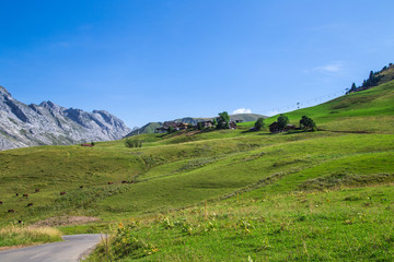 Naklejka premium Montagne