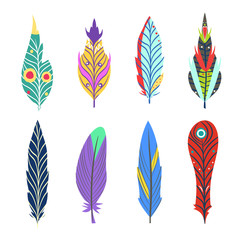 Vector set of colored hipster feathers with different shapes and colors