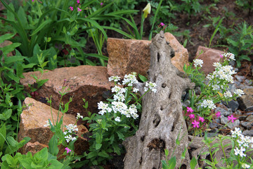 The stones and stump in the garden
