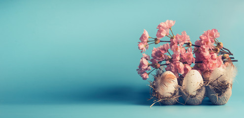 Easter banner or template with eggs in crate box and decorative spring blossom at blue background, front view