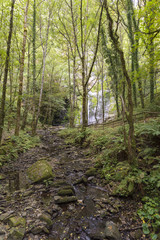 Catarata de A Semieira de Vilagocende (A Fonsagrada, Lugo - España).