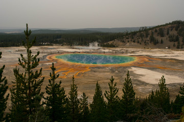 Grand Prismatic Spring