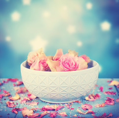 Rosenblüten im Wasser