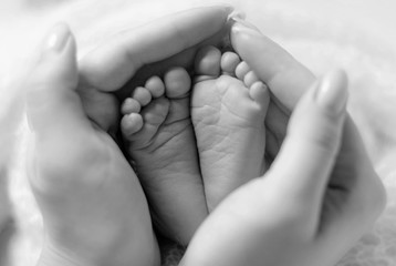 Tiny Newborn Baby s feet being held by father's hand.