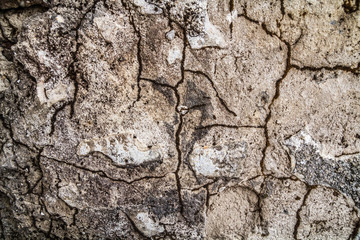 Grunge concrete cement wall with crack in industrial building, great for your design and texture background