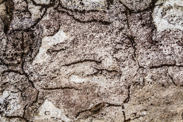 Grunge concrete cement wall with crack in industrial building, great for your design and texture background