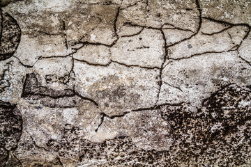 Grunge concrete cement wall with crack in industrial building, great for your design and texture background
