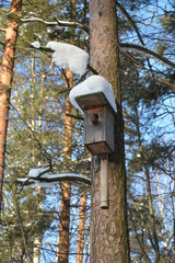 The old bird house.