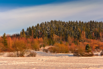 Wzgórza i lasy