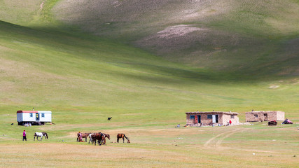 Nice view on Sary-Mogul a village