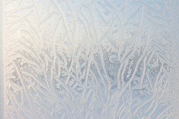 Drawing on glass in a frost . Frosty picture on the window. Frost pattern