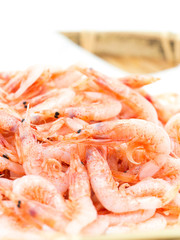 桜えび　釜揚げ