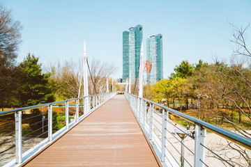 Modern bridge and spring nature landscape at Seoul forest park in Korea