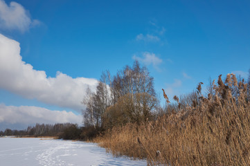 The Beauty of Winter