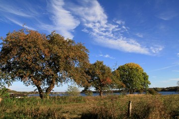 Fototapeta premium Wikingerdorf Haithabu am Haddebyer Noor im Herbst, Wikingersiedlung, Wikinger 