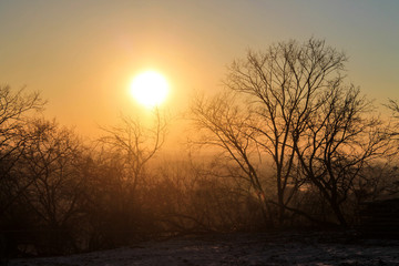 Fototapeta na wymiar Dry branch on an early frosty morning.