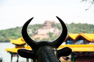 Fototapeta premium View from the copper bull in Summer Palace
