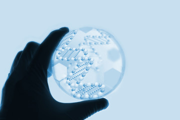 研究イメージ　手とペトリ皿