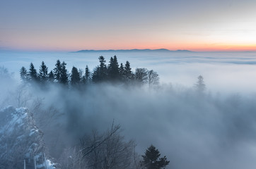 Fototapeta na wymiar Misty mountain forest landscape in the morning, Poland