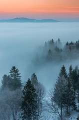 Misty mountain forest landscape in the morning, Poland