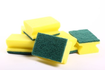 Sponges