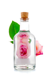 Transparent glass bottle and pink rose