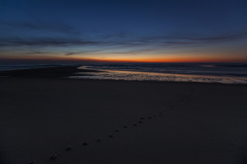 Coyote tracks in the sunrise sand