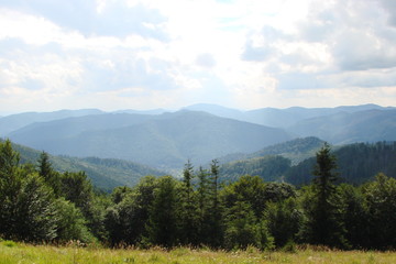 A panorama of a green mountain forest on a sunny summer day in the background of mountain ranges on the horizon.