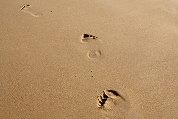 Fototapeta na wymiar Foot on sand. Vacation and holidays