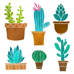 Cacti set