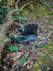 Old shabby leather black dirty boots left in wood