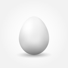 Vector realistic egg with shadow. Isolated on white background