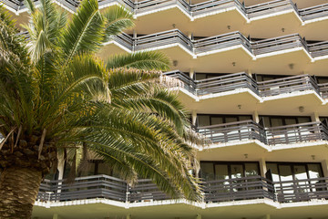 Fototapeta na wymiar Palm tree in the background of the hotel
