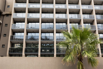 Palm tree in the background of the hotel