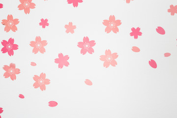 Pink flowers on white wall background