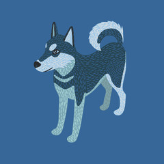 Obraz premium Husky dog isometric on blue