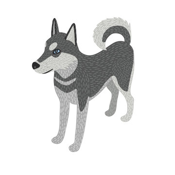 Husky dog detailed, isometric, isolated