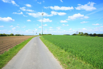 Fototapeta na wymiar Rural road near Warendorf in Muensterland, Westphalia, Germany