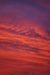 Fototapeta premium Beautyful Ukraine