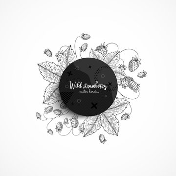 Vector round banner with wild strawberry. Modern banner with hand drawn berries. With place for text. Healthy food. Great design for natural and organic products, label, poster, packaging design.